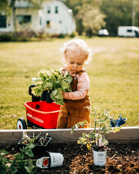 9 Best Carts & Wagons for Your Garden of 2024