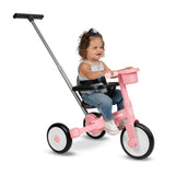 Deluxe Milestone Trike to Bike