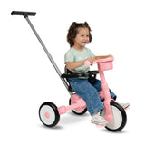 Deluxe Milestone Trike to Bike
