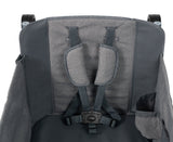 Limited Edition Deluxe Push & Pull Stroll 'N Wagon - Gray